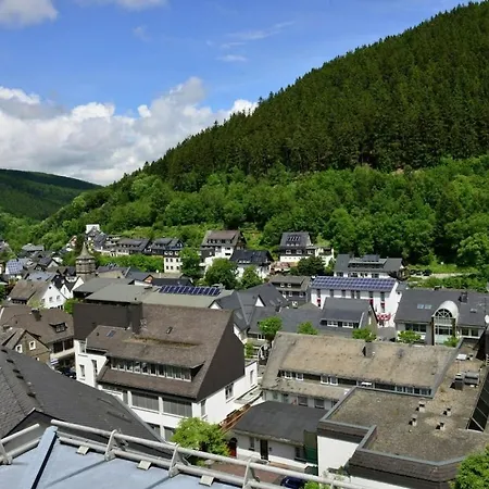 1 Bedroom * Willingen (Upland)